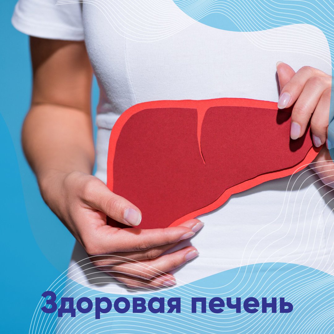 Здоровая печень Здоровая печень